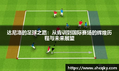达尼洛的足球之路：从青训到国际赛场的辉煌历程与未来展望